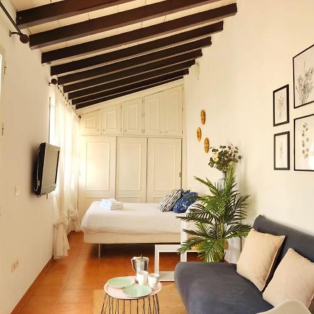 Апартаменти Stunning Attic With Private Terrace And Parking Optional Севілья Екстер'єр фото