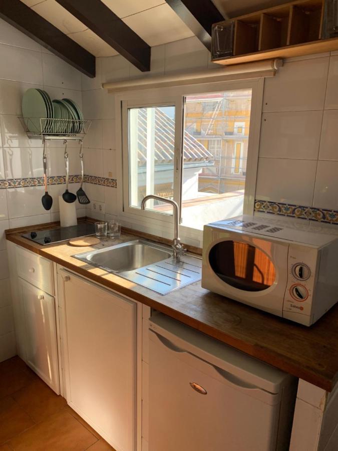 Апартаменти Stunning Attic With Private Terrace And Parking Optional Севілья Екстер'єр фото